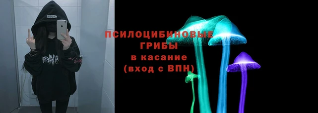 дурь Верея
