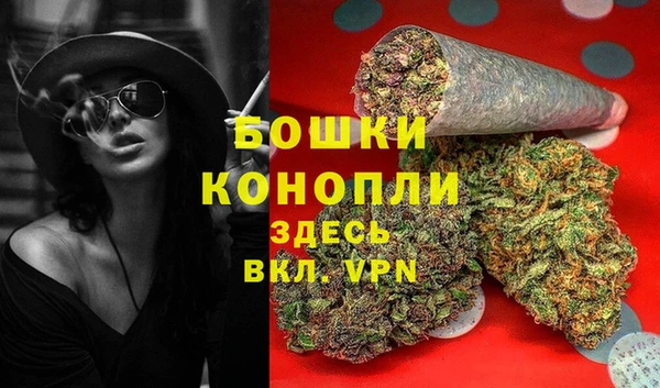 дурь Верея